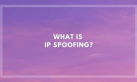 What is IP Spoofing ?