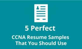 5 Perfect CCNA Resume Samples That You Should Use
