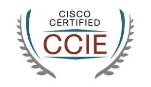Read more about the article Best CCIE Training in India – Octa Networks
