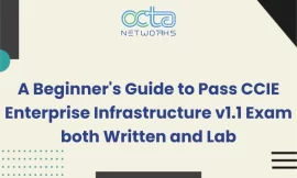 A Beginner’s Guide to Pass CCIE Enterprise Infrastructure v1.1 Exam both Written and Lab