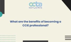 What are the benefits of becoming a CCIE professional?