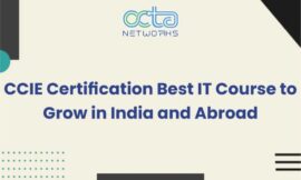 CCIE Certification Best IT Course to Grow in India and Abroad