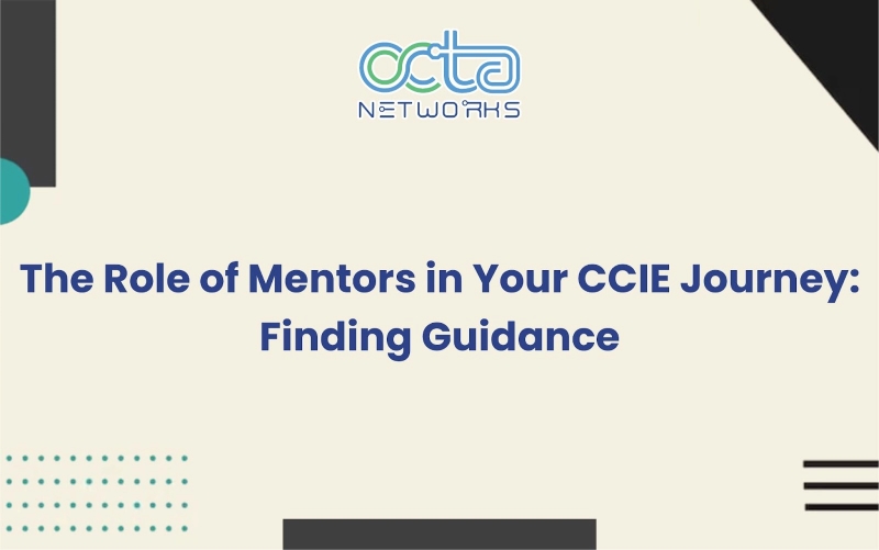 Read more about the article The Role of Mentors in Your CCIE Journey: Finding Guidance