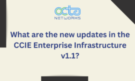 What are the new updates in the CCIE Enterprise Infrastructure v1.1?